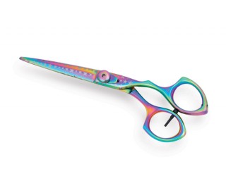 Professional Hair Cutting Scissors 